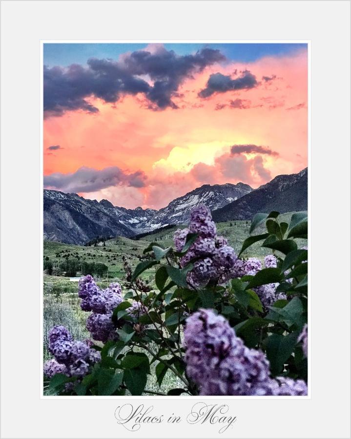 Pine Creek Cabin Livingston Montana Extérieur photo