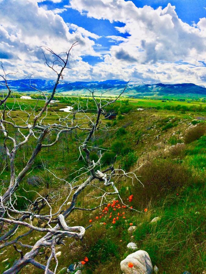 Pine Creek Cabin Livingston Montana Extérieur photo