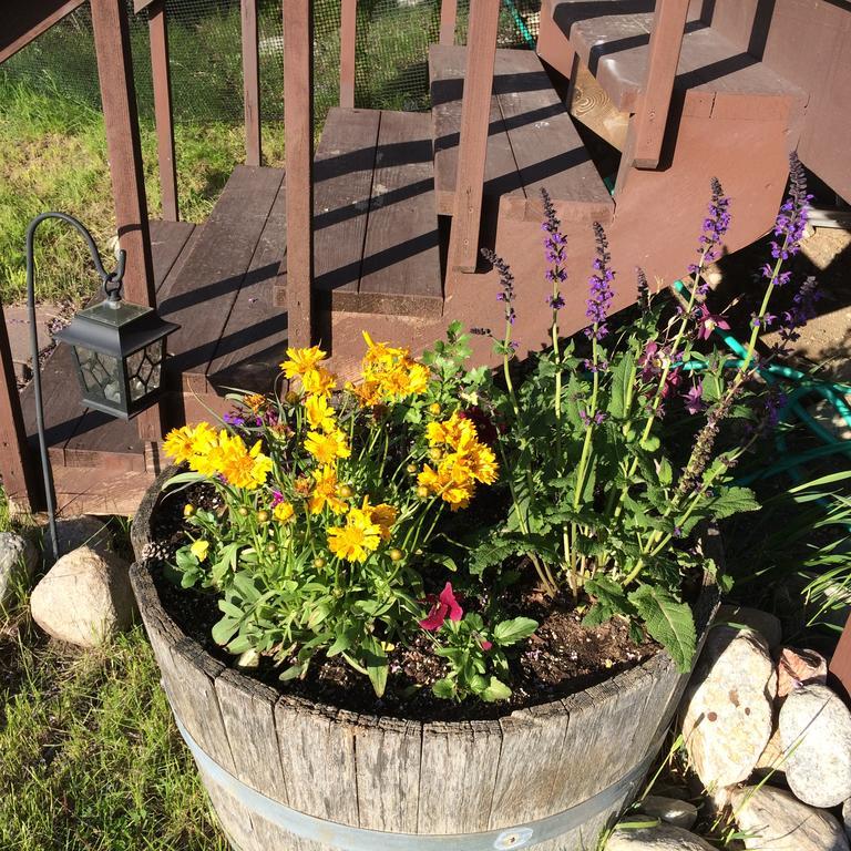 Pine Creek Cabin Livingston Montana Extérieur photo