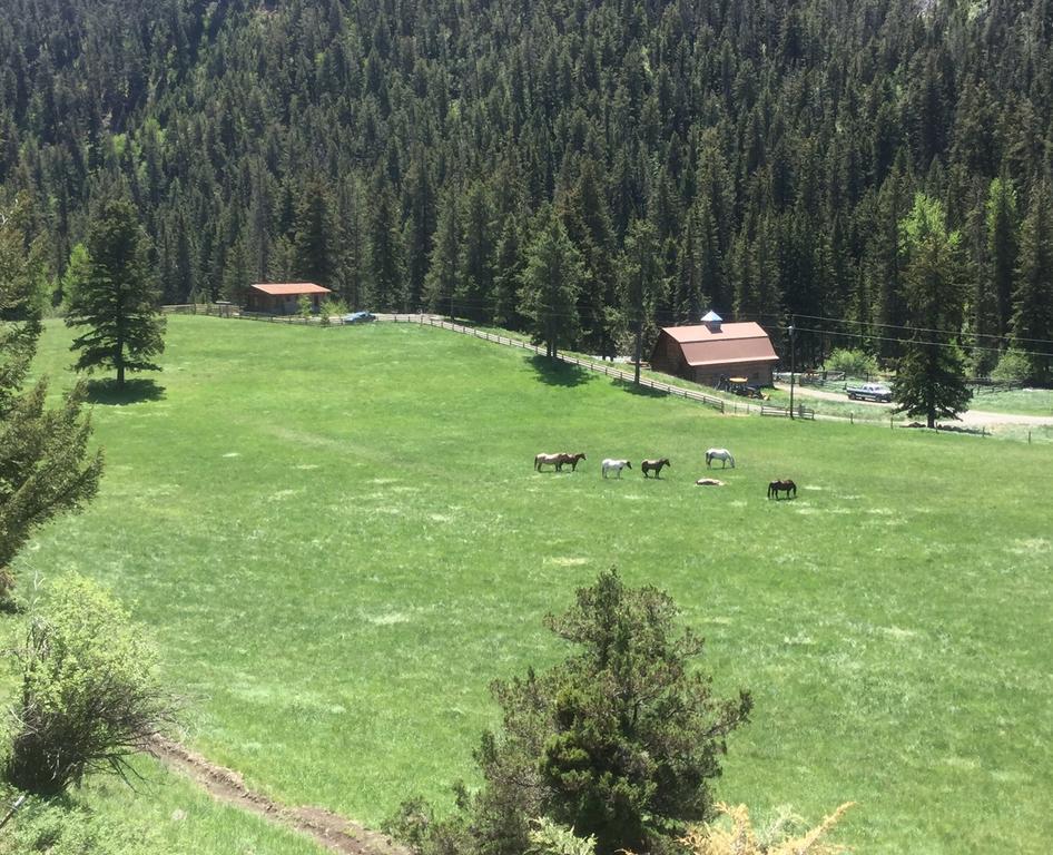Pine Creek Cabin Livingston Montana Extérieur photo